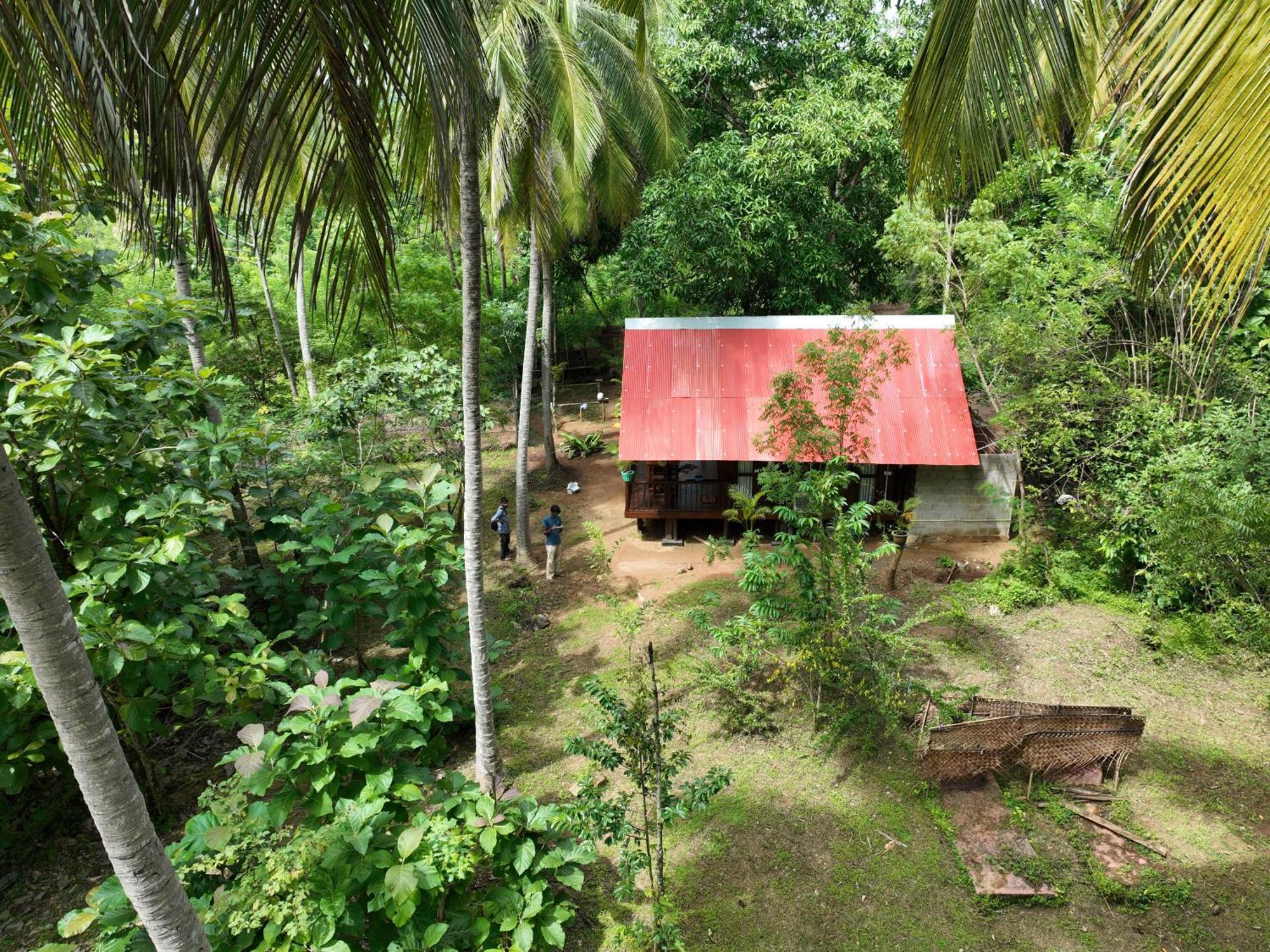 Coconut Tree House Hotel Udawalawe Exterior photo