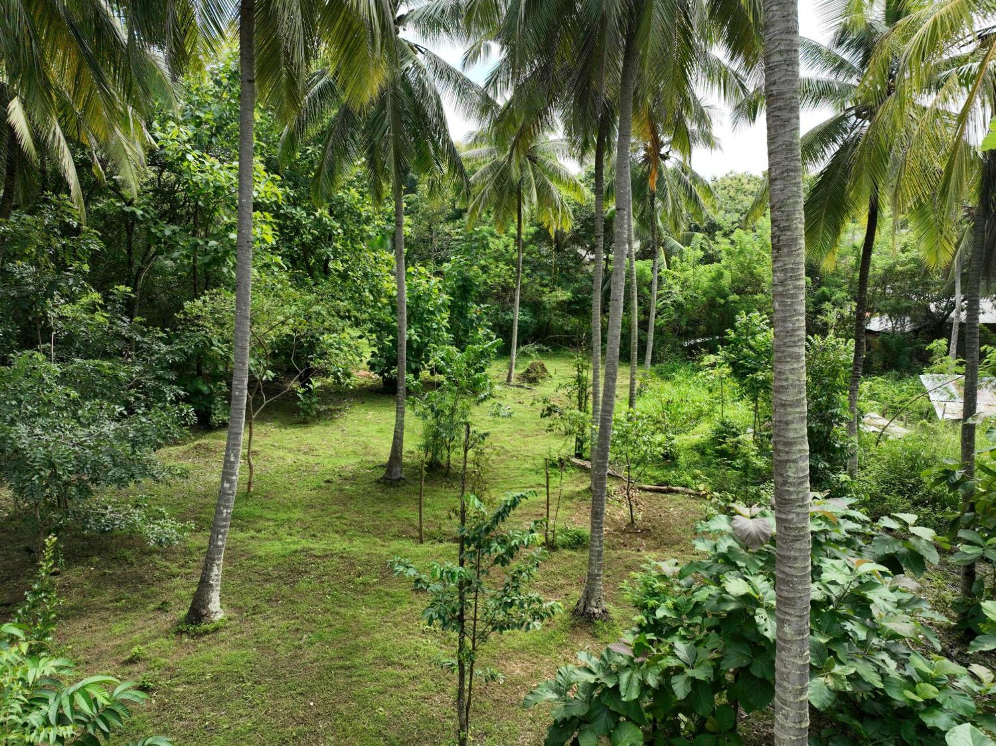 Coconut Tree House Hotel Udawalawe Exterior photo