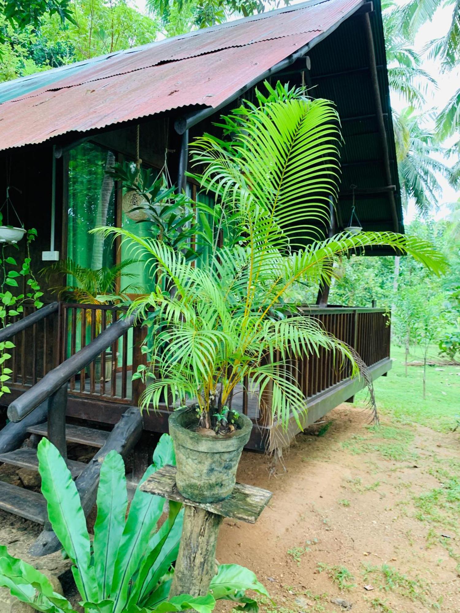 Coconut Tree House Hotel Udawalawe Exterior photo