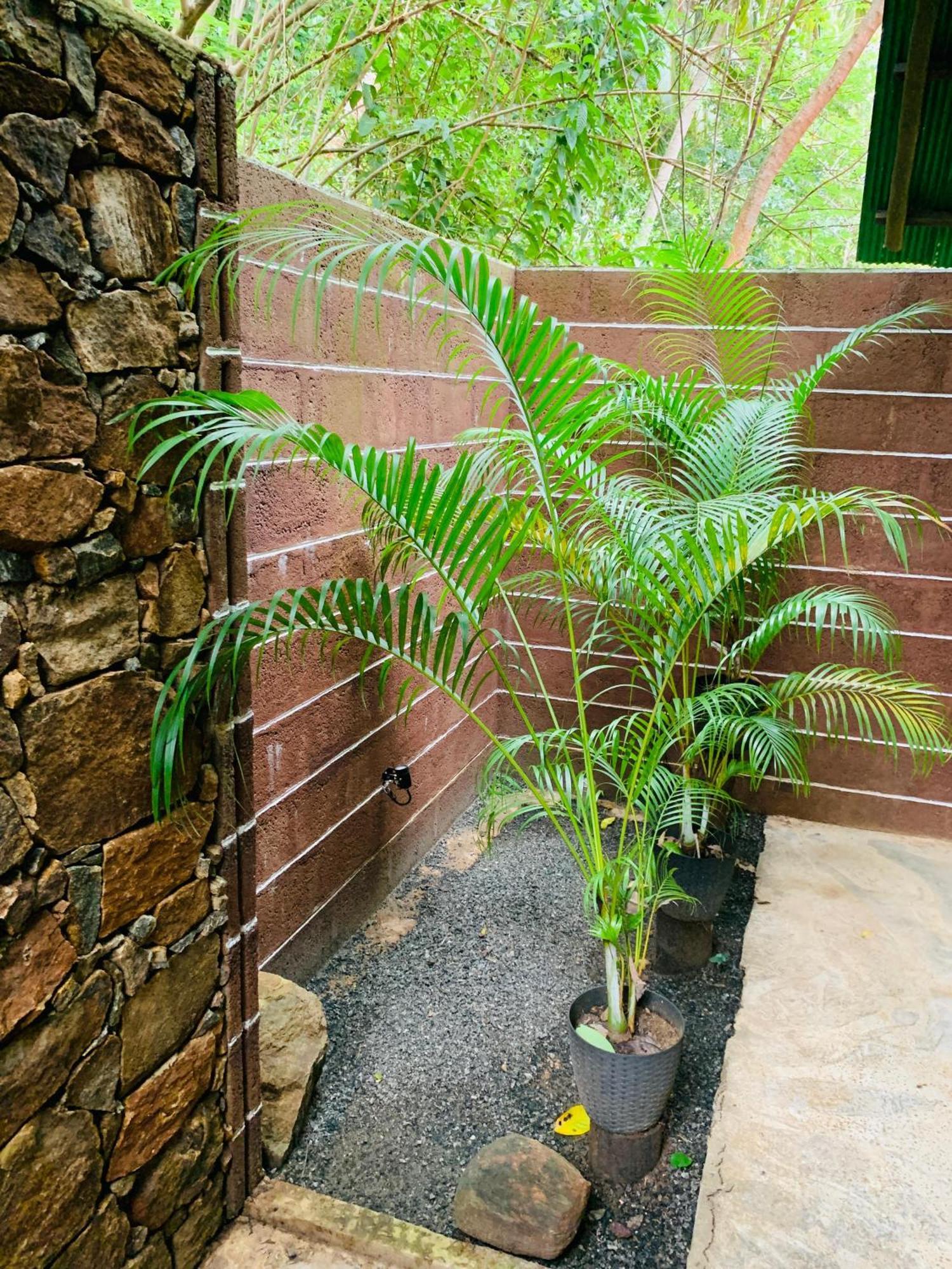 Coconut Tree House Hotel Udawalawe Exterior photo